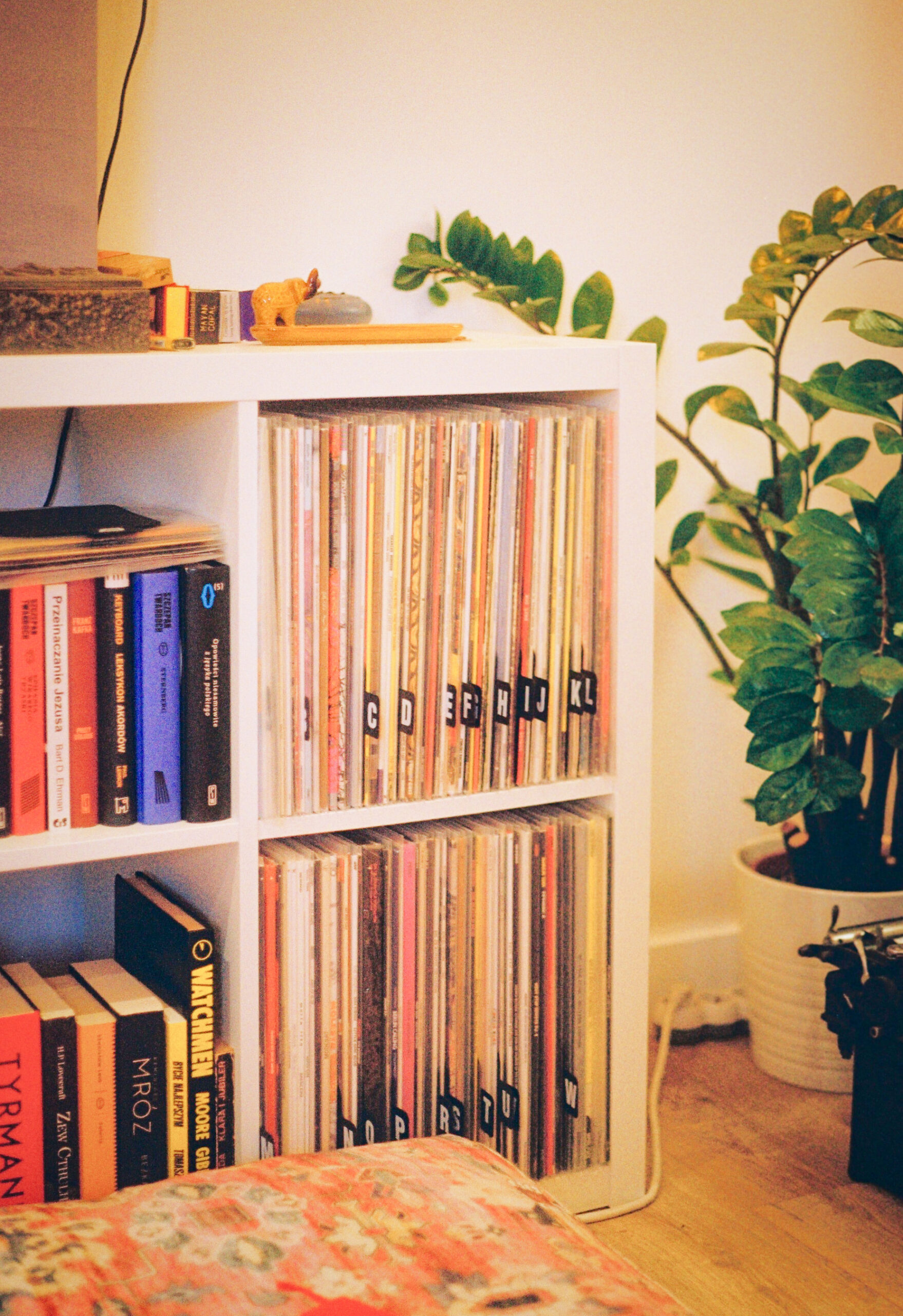 vinyl collection